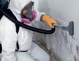 Best Industrial Mold Remediation in Pendleton, IN